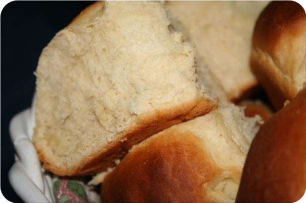 Delicious No Knead Refrigerator Rolls