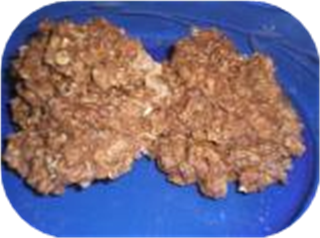 Quick and Easy No Bake Chocolate Cookies
