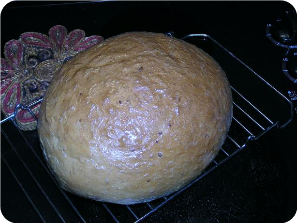 Fast Bake White Bread (Bread Machine)
