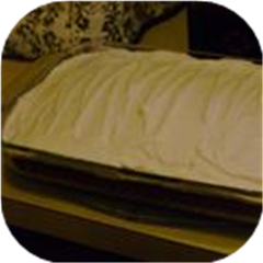 Honey Carrot Cake