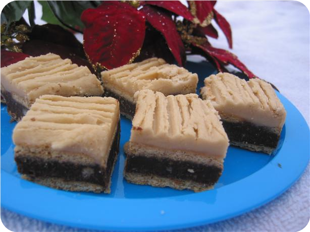 Chocolate Graham Pecan Squares
