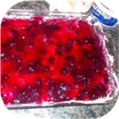 Blueberry Delight