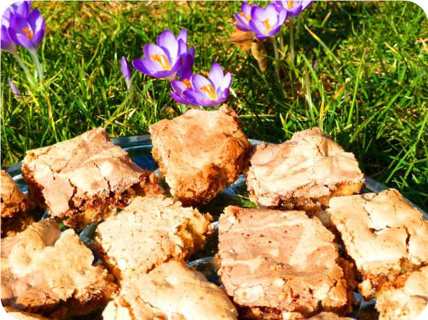Walnut Squares