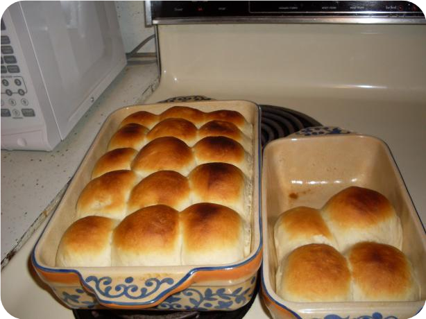 Southern Butter Rolls