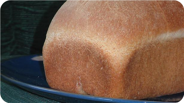 Trachelle's Favorite  Wheat Bread (Bread Machine)