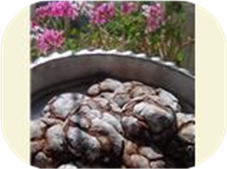Easy Fudgy Cookies