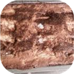 Dutch Apple Cake