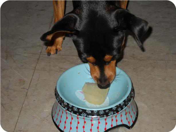 Pupsicles