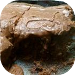 Coco Cola Cake