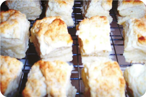 Cream Biscuits