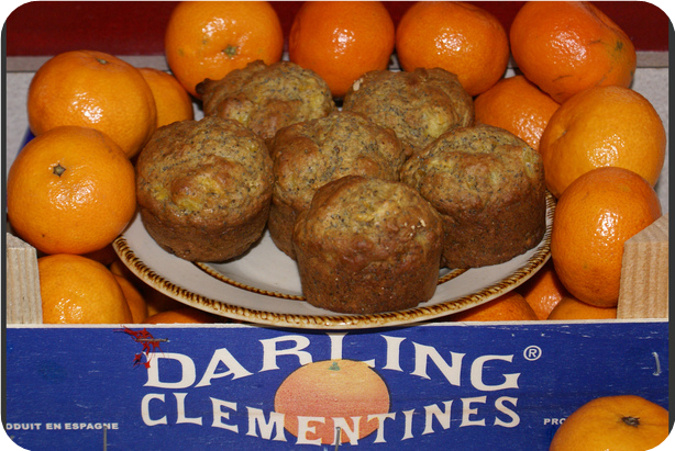 Clementine Poppy Seed Muffins