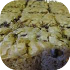 Davy Crockett Cookies