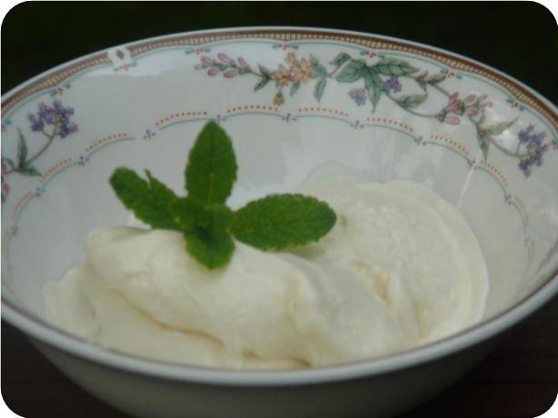 Vanilla Custard Ice Cream