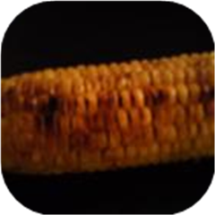 Miss Bettie's Zesty Grilled Corn