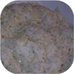 Garlic Fried Rice