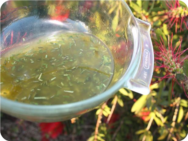 Easy Grill Marinade