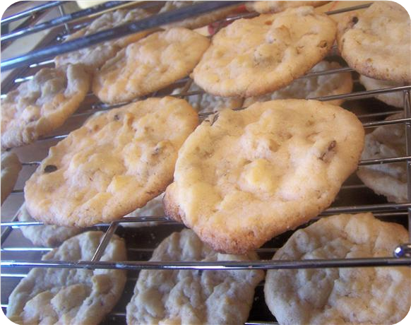 Cream Cheese Walnut  Drop Cookies