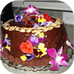 Black Chocolate Cake