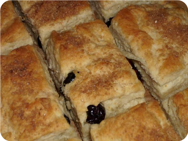 Dried Cranberry Biscuits