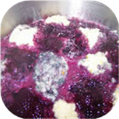 Blueberry Grunt