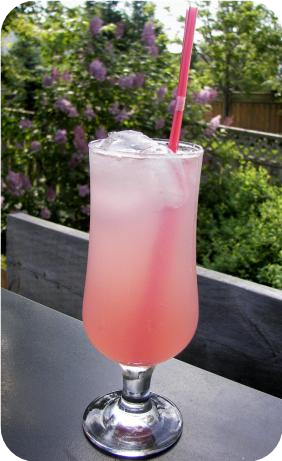 Rhubarb Soda