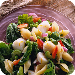 Scallops and pasta salad 