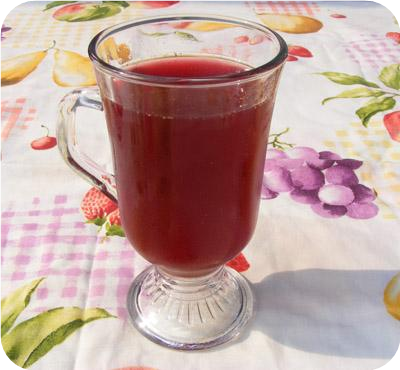 Ponche - Chilean Cranberry Punch