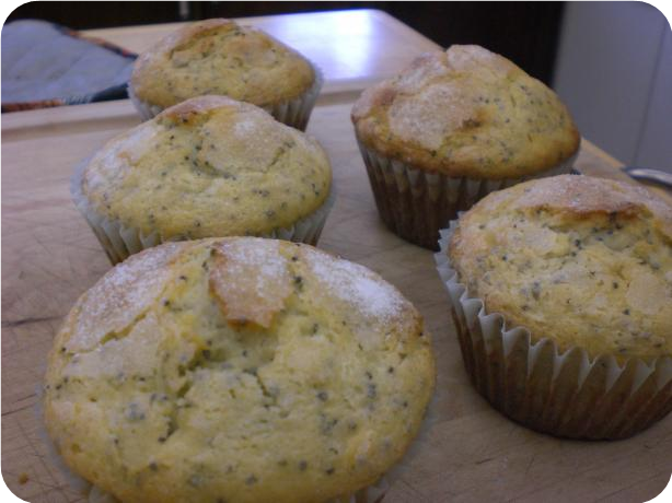 Lemon Poppy Seed Muffin