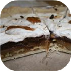 Turtle Pie