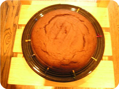 Patricia Polacco's Thunder Cake