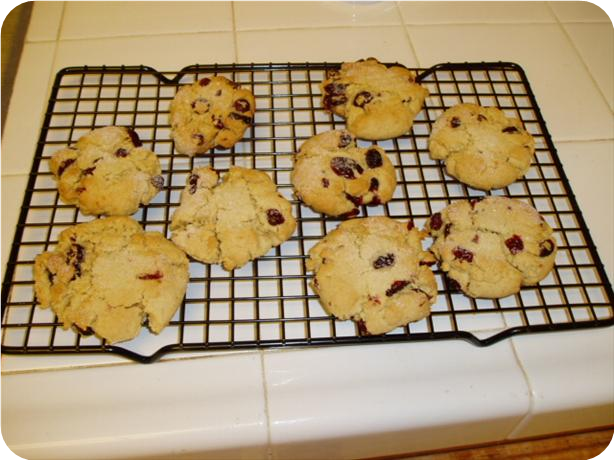 Macadamia Butter Cookies With Dried Cranberries