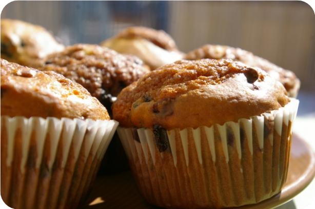 Streusel Topped Blueberry-Chocolate Chip Muffins