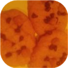 Peanutbutteriest Cookies Ever