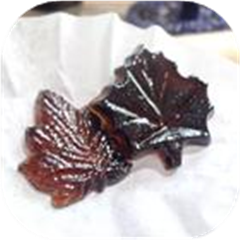 Hard Maple Candy