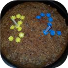 Sara Jane's Oatmeal Cake