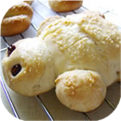 Turtle Bread