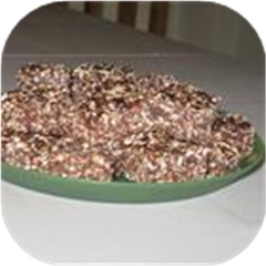 Bird Seed Squares