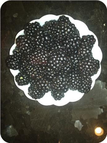 Frozen Blackberry Mousse