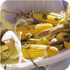 Grilled Corn on the Cob with Herbs