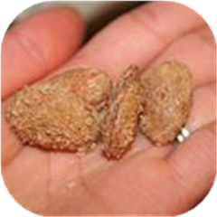 Cinnamon-Roasted Almonds
