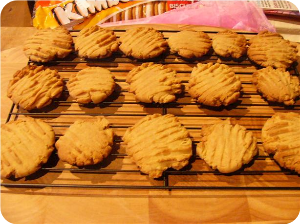 Golden Syrup Butter Cookies