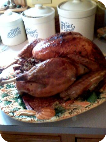 Basic All Purpose Brine for Meats, Chicken, and Turkey