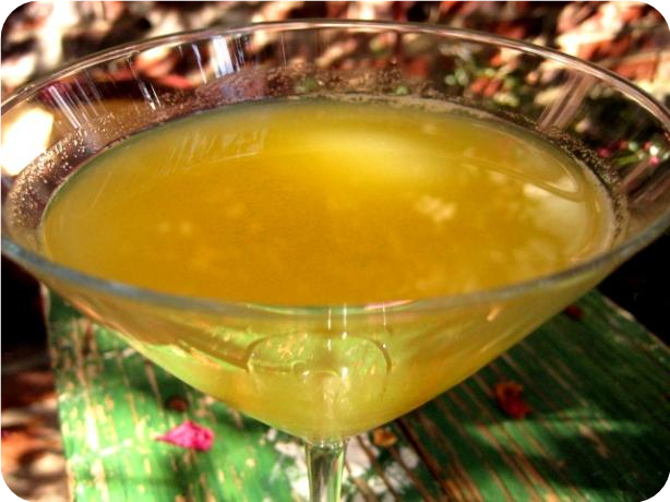 Tropics Martini