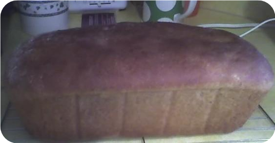 Easy Whole Wheat Bread