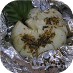 Oregano Onions