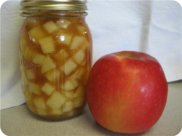 Vera's Apple Pie in a Jar