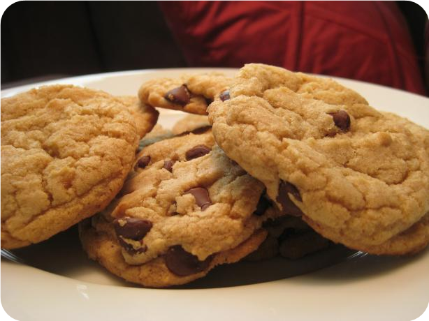 Chewy Choco-Chip Cookies