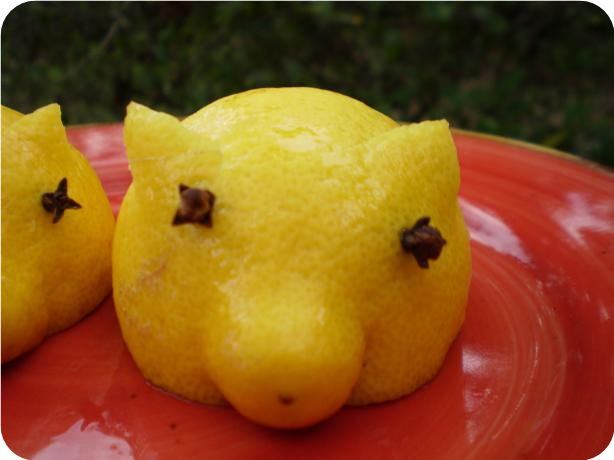 Lemon Pigs
