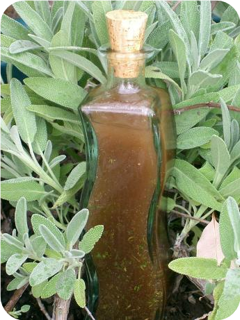 "from the Field" Balsamic Vinaigrette