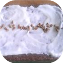 Wicked Brownies